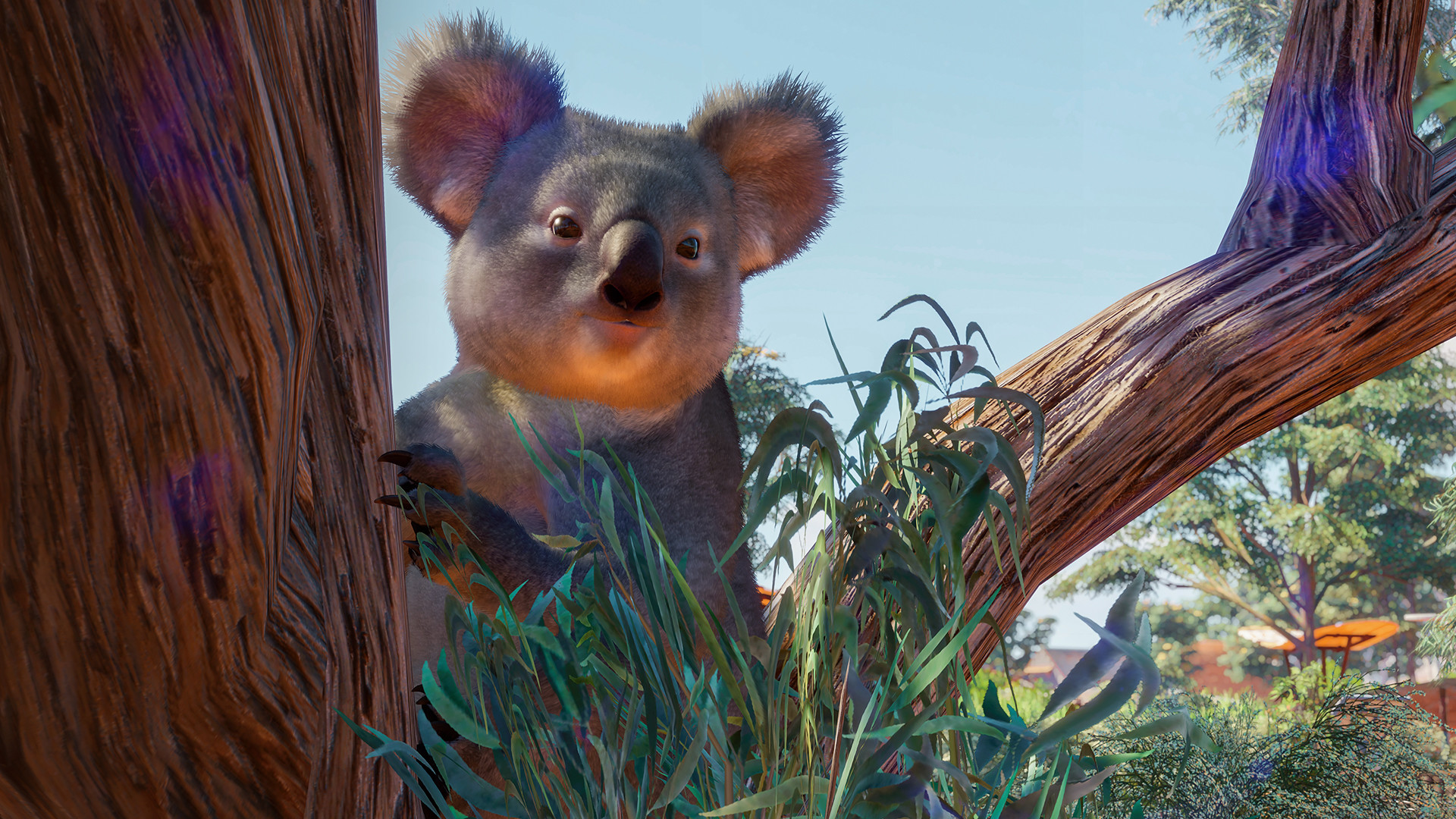 Planet Zoo Australia Pack