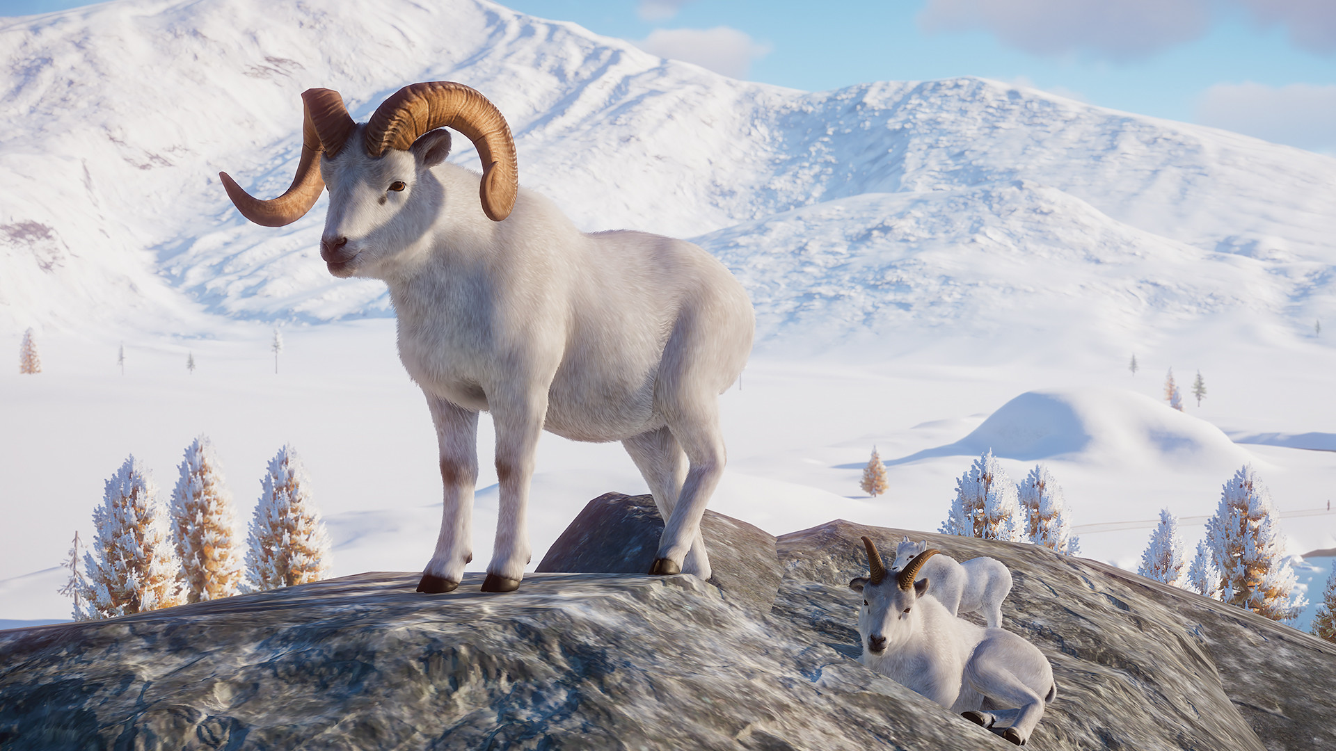 planet zoo arctic pack