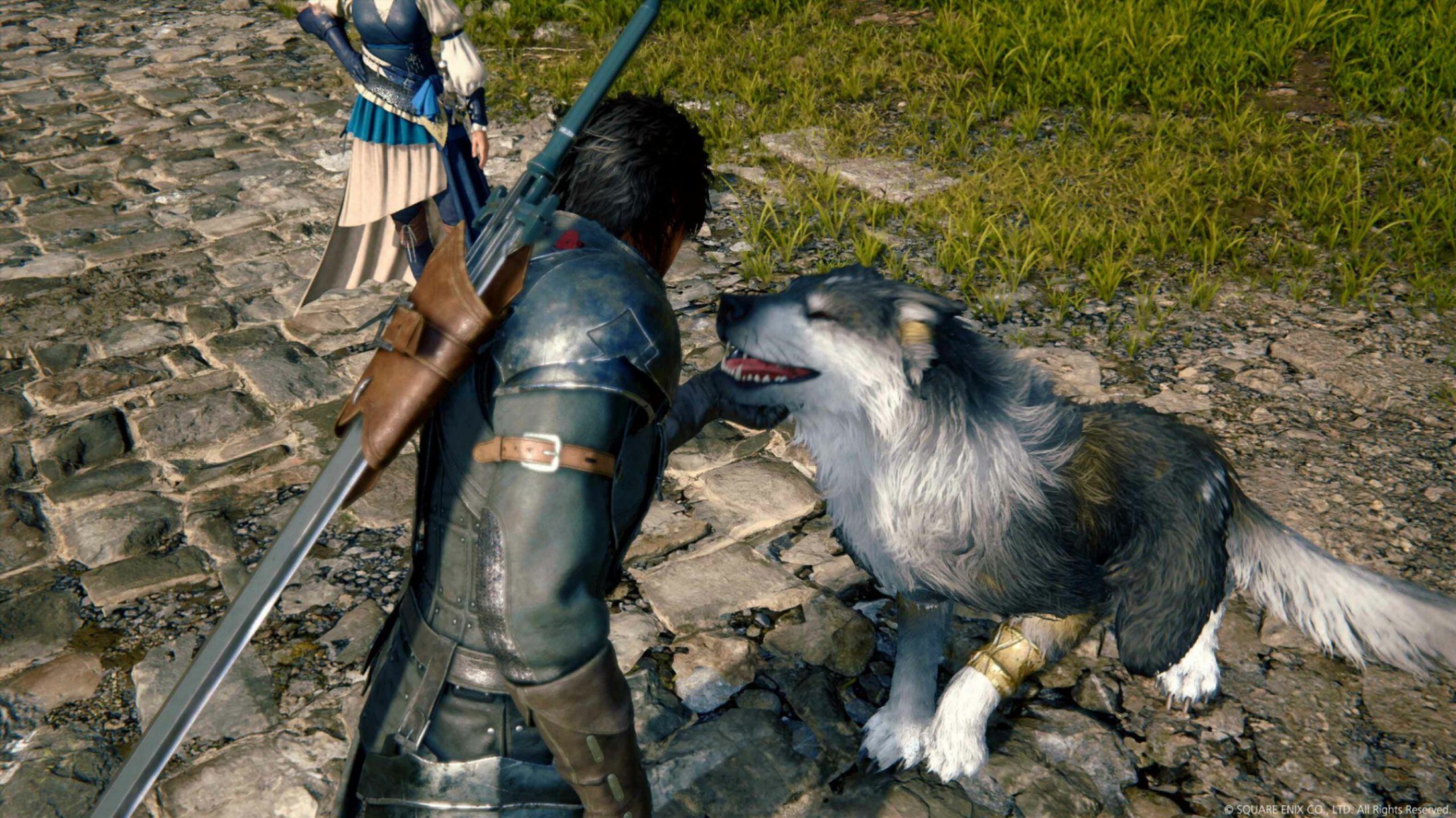 ff 16