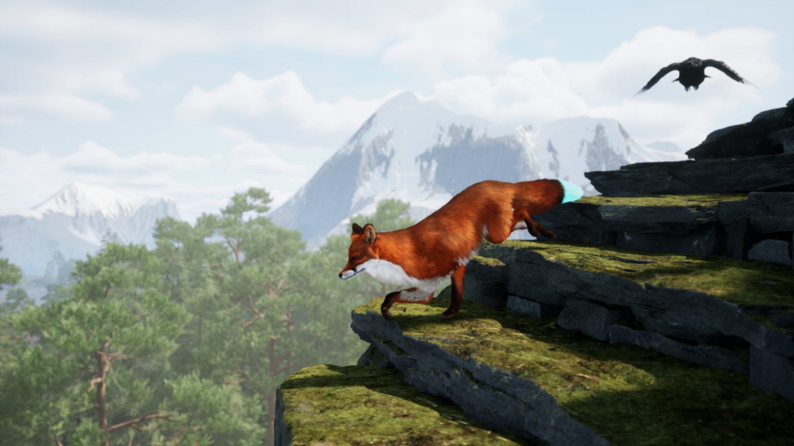 Spirit Of The North 2