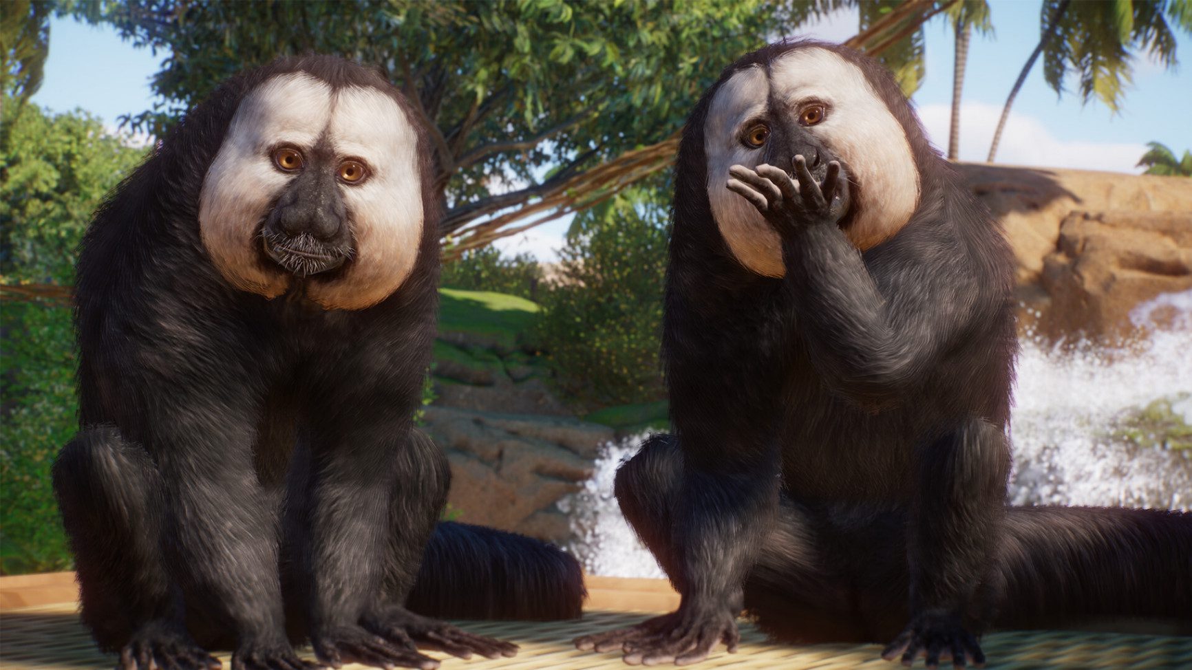 americas animal pack