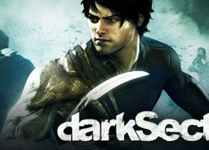 Dark Sector